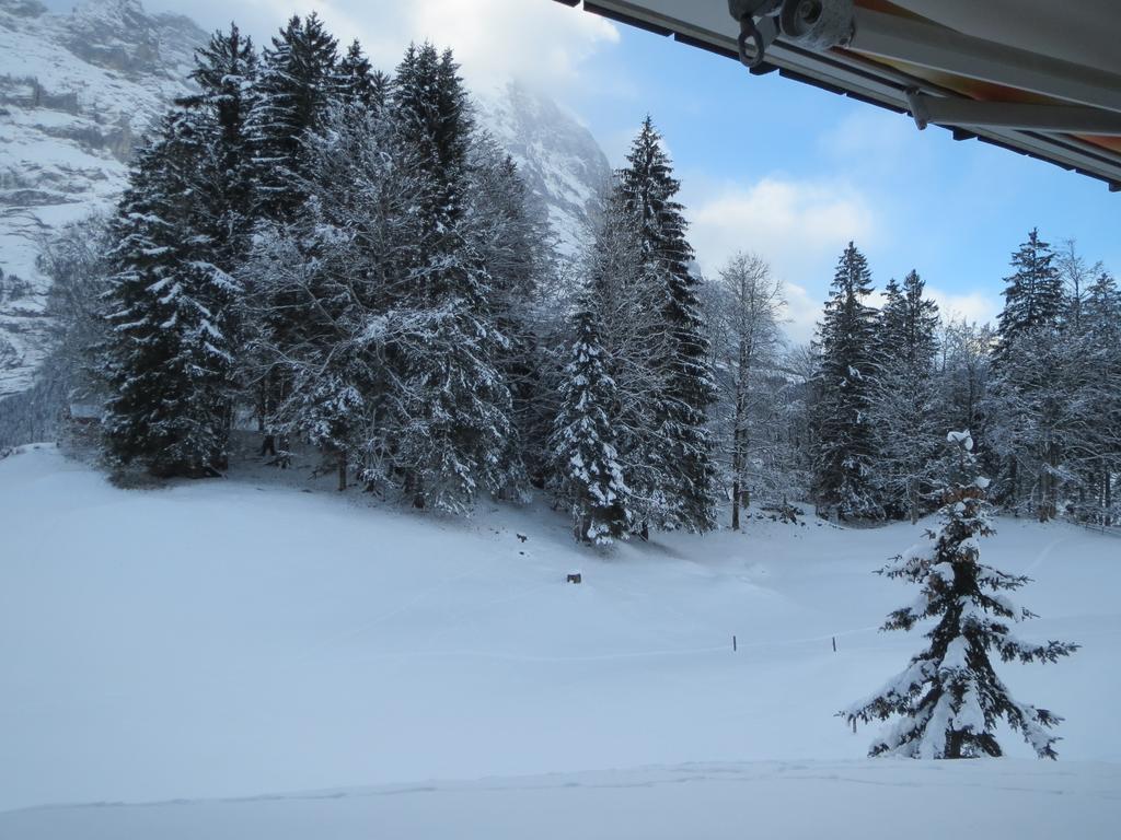 Mom - Alpine Boutique Apartments, Gletscher, Eiger View Terrace Apartamento