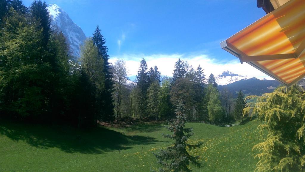 Mom - Alpine Boutique Apartments, Gletscher, Eiger View Terrace Grindelwald
